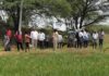 అవుసలి, కమ్మరి కుంటలకు హద్దుల నిర్ధారణ Officials demarcate the boundaries of Avusali and Kammari Kunta lakes